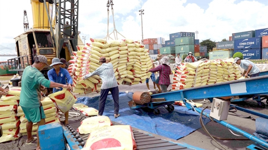 Vietnam likely earn US$5 billion from rice exports this year